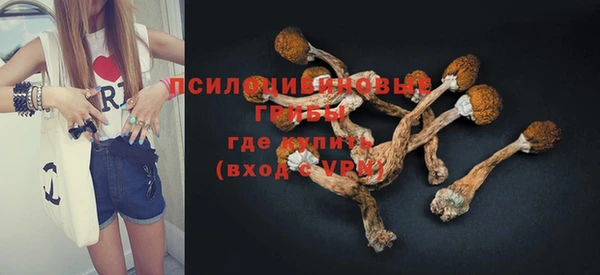 индика Верхнеуральск