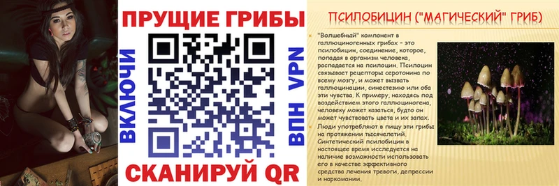 omg зеркало  купить наркотики цена  Лиски  Галлюциногенные грибы прущие грибы 
